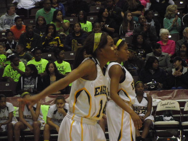 cy falls rob-ellis